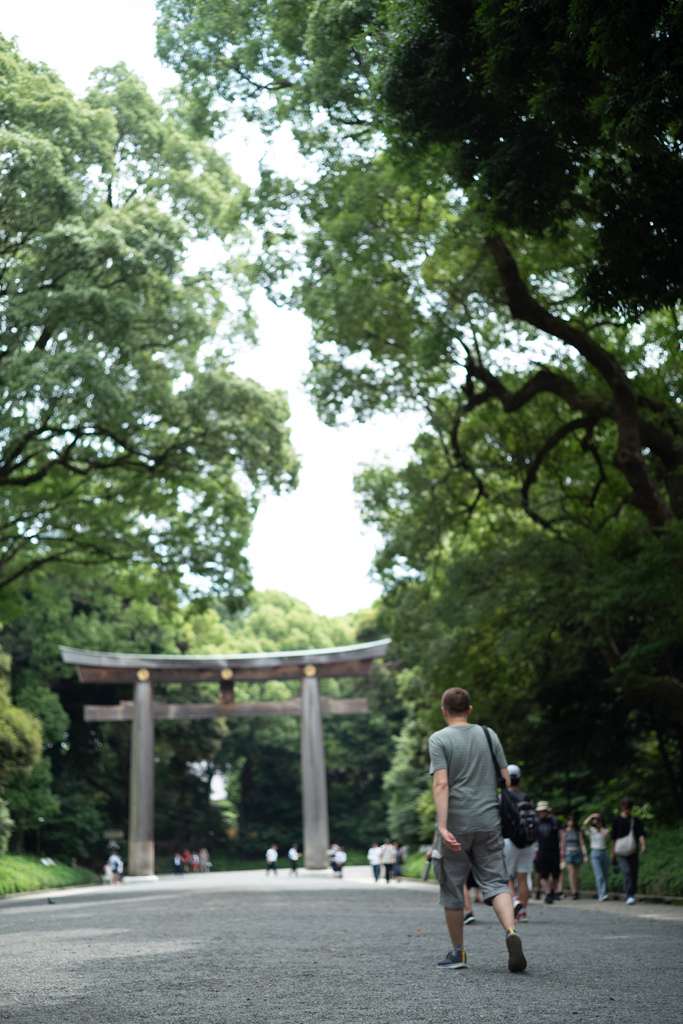 明治神宮の森で