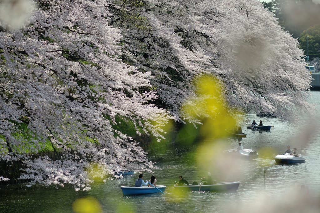 spring for tokyoites