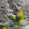 spring for tokyoites