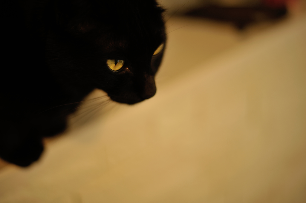 eyes