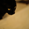 eyes