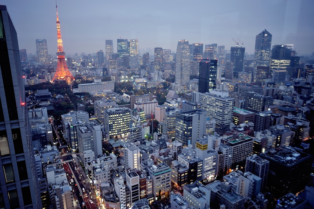 tokyo view