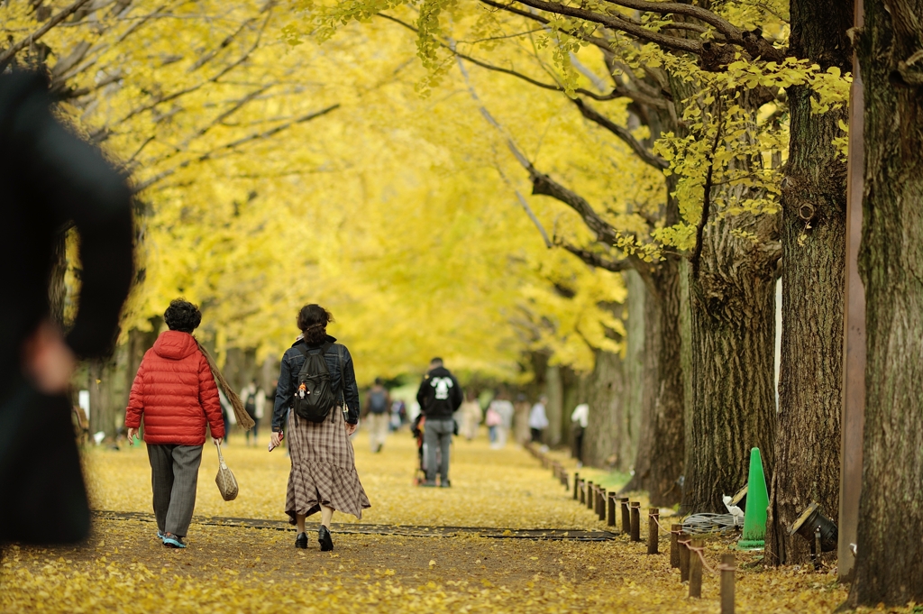 autumn for tokyoites 2019