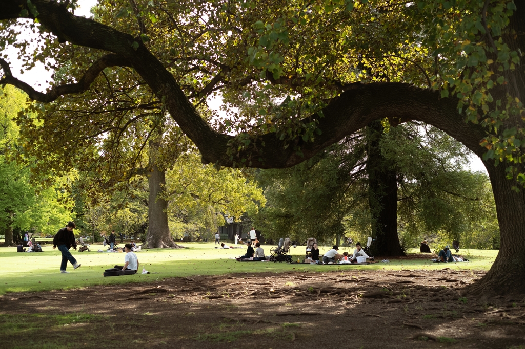 autumn for tokyoites 2023