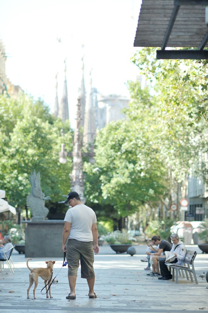 good morning barcelona