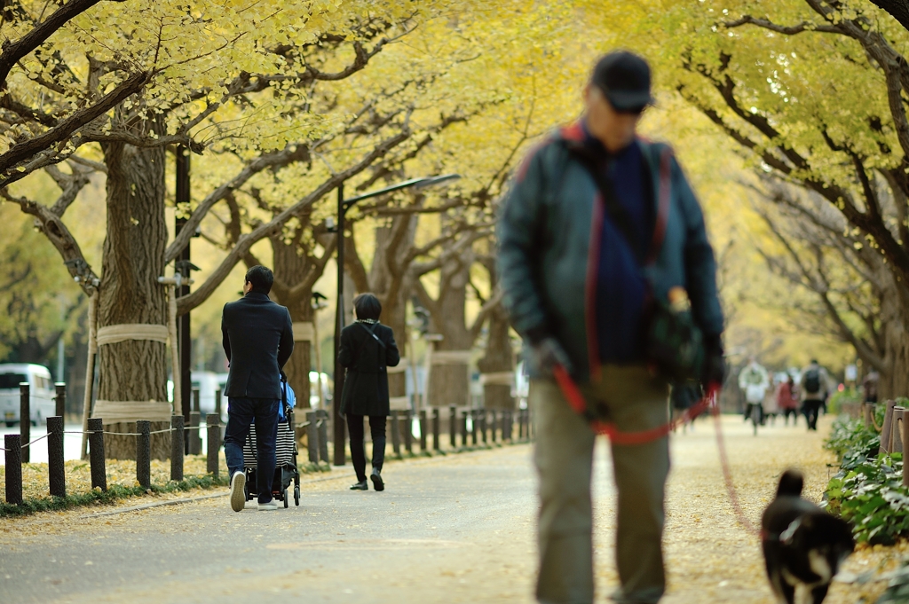 autumn for tokyoites 2017