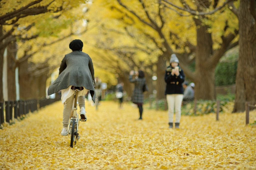 autumn for tokyoites