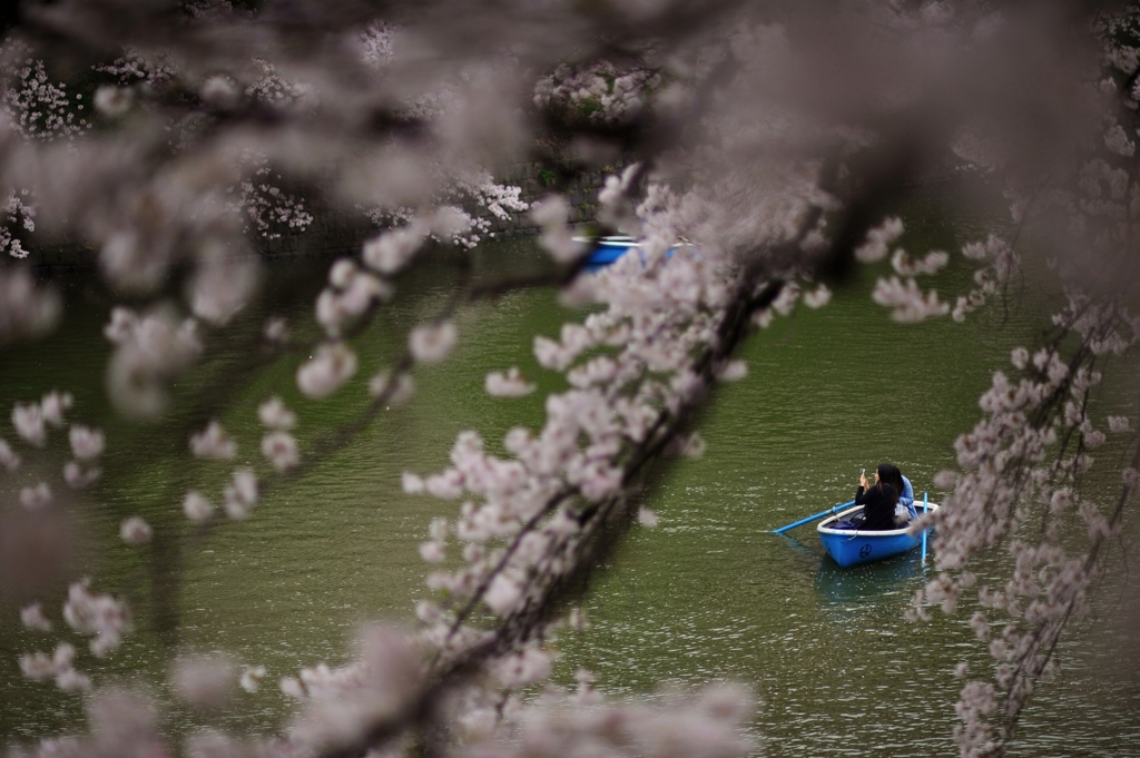 the Chidorigafuchi Moat