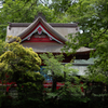 井の頭公園にて