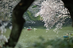 spring for tokyoites