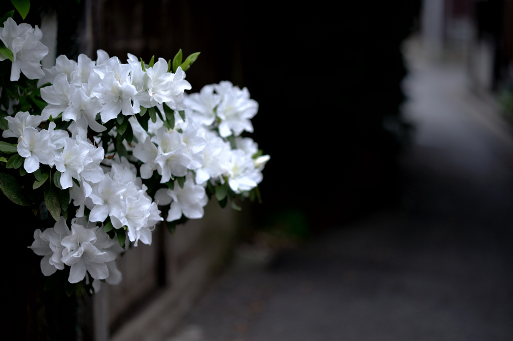 nakano-today 4