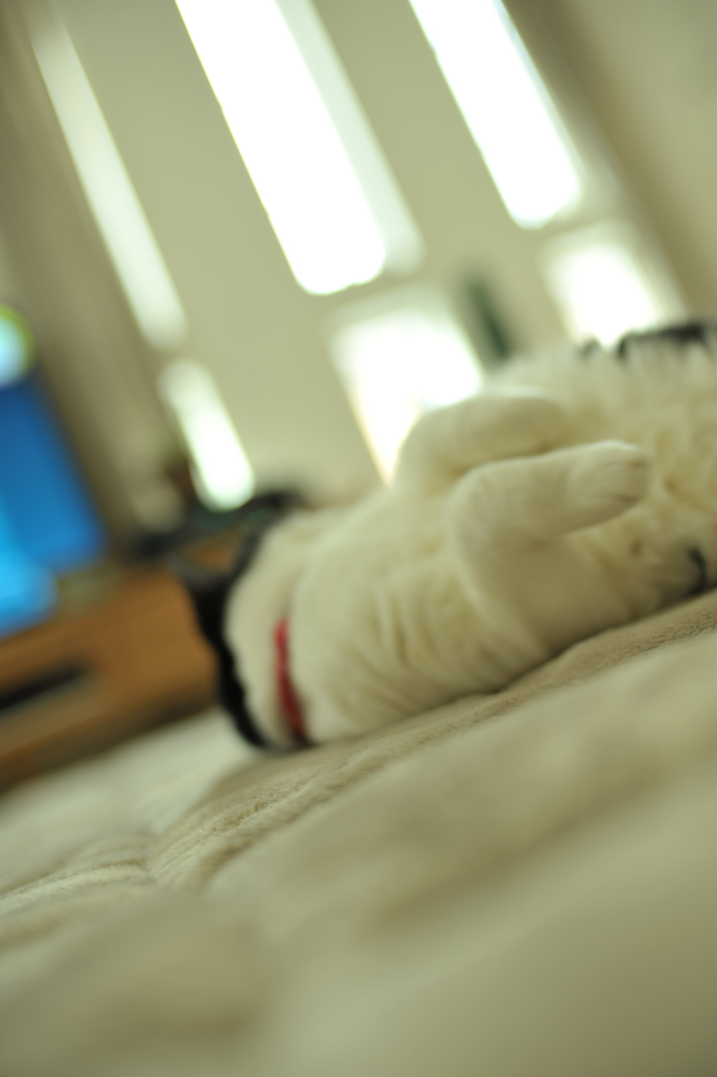 relax