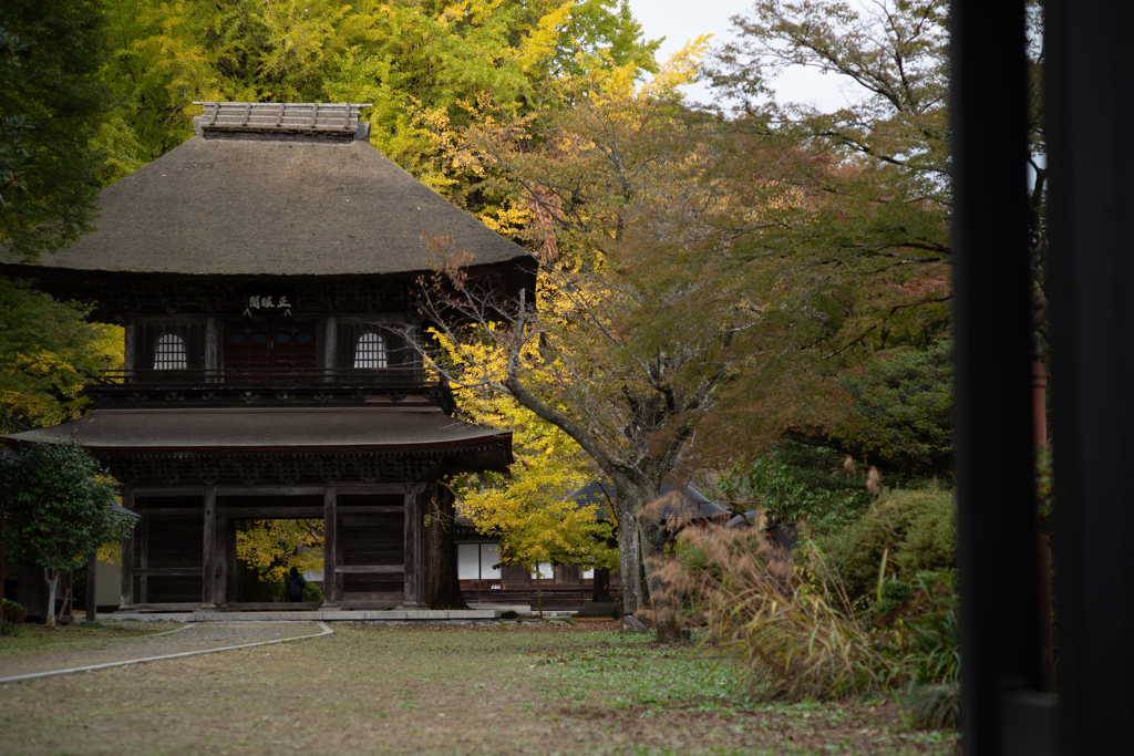 autumn for tokyoites 2023