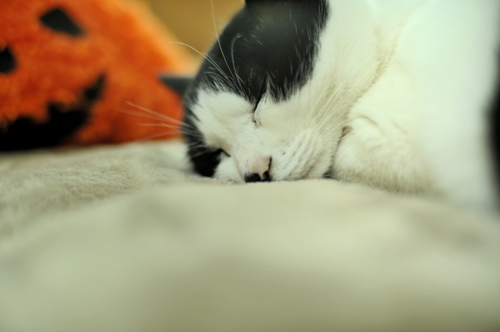 おつかれさま