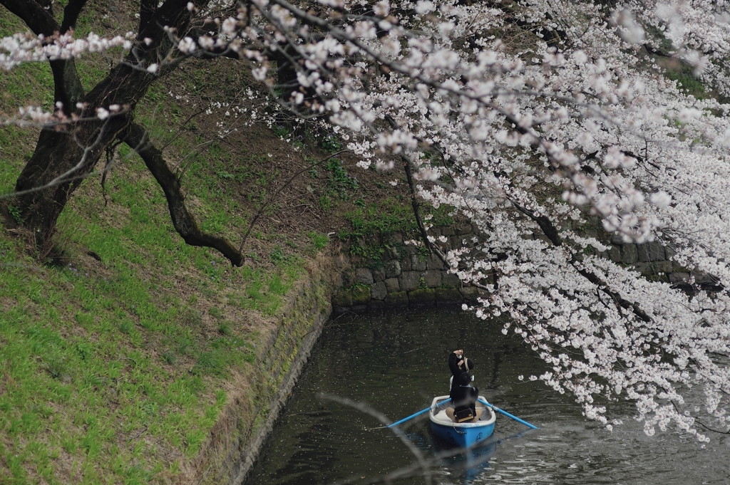 spring for tokyoites
