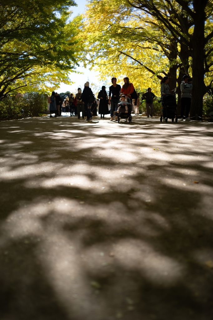 autumn for tokyoites 2023