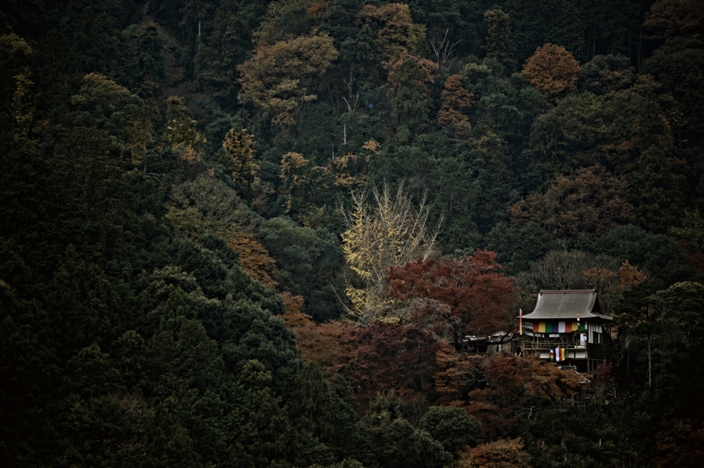 千光寺を望む