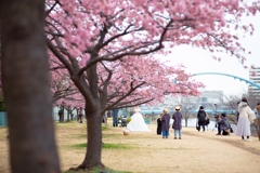 spring for tokyoites 2024