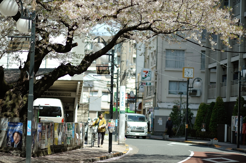 spring for tokyoites