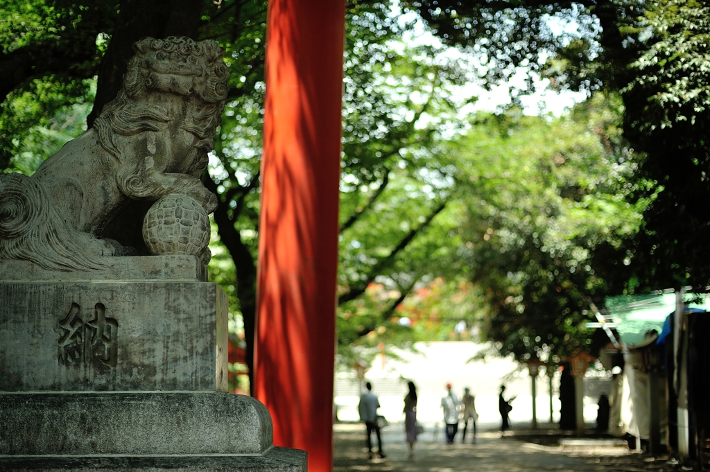 early summer for tokyoites 2021