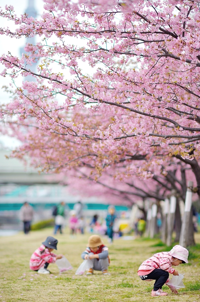 spring for tokyoites