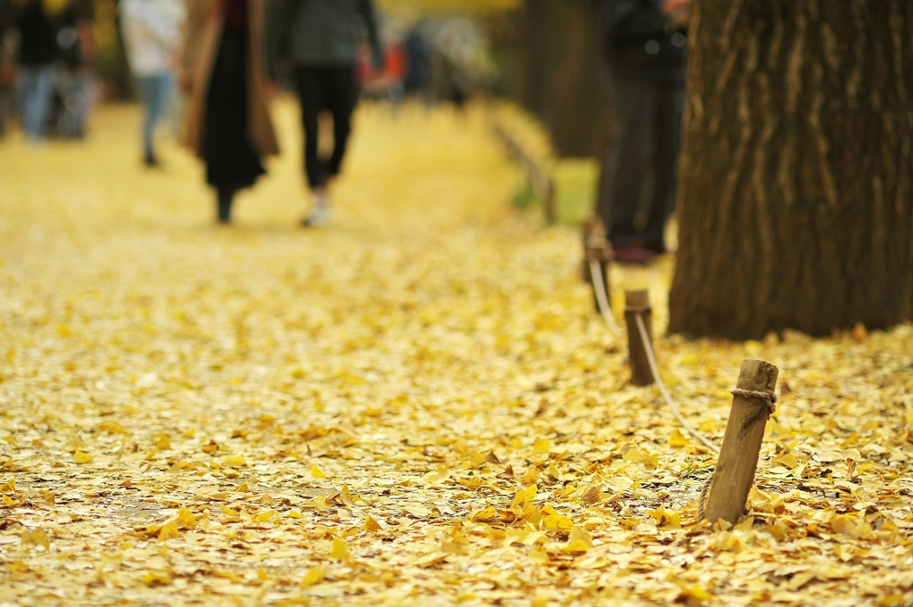 autumn for tokyoites 2021