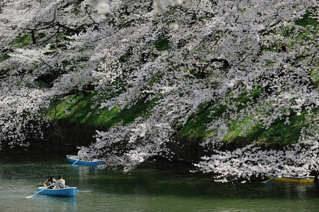 spring for tokyoites