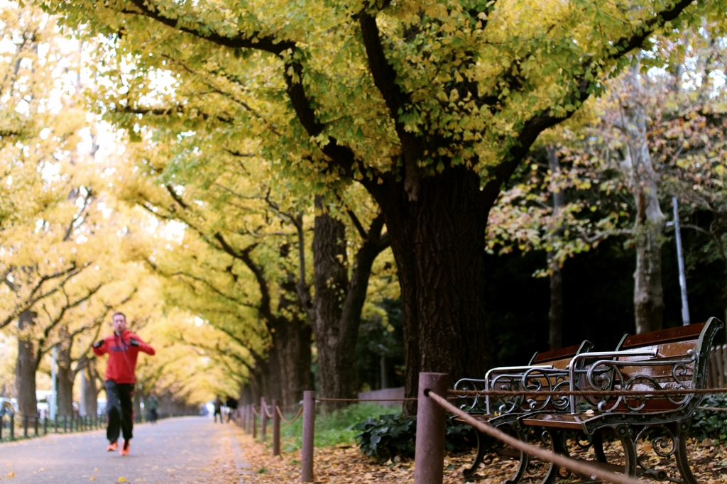 autumn for tokyoites 2015