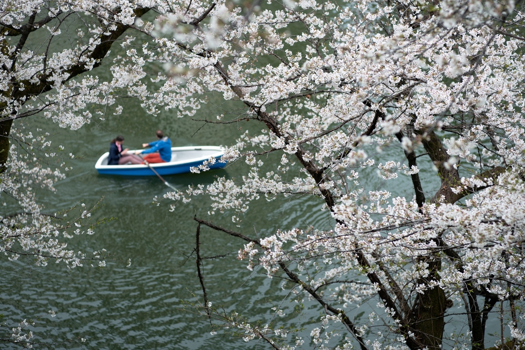 spring for tokyoites 2025