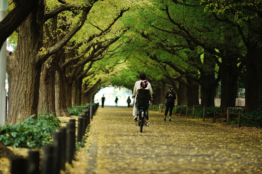 autumn for tokyoites