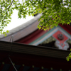 弁財天の屋根と