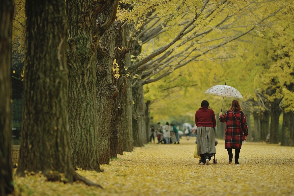 autumn for tokyoites 2017