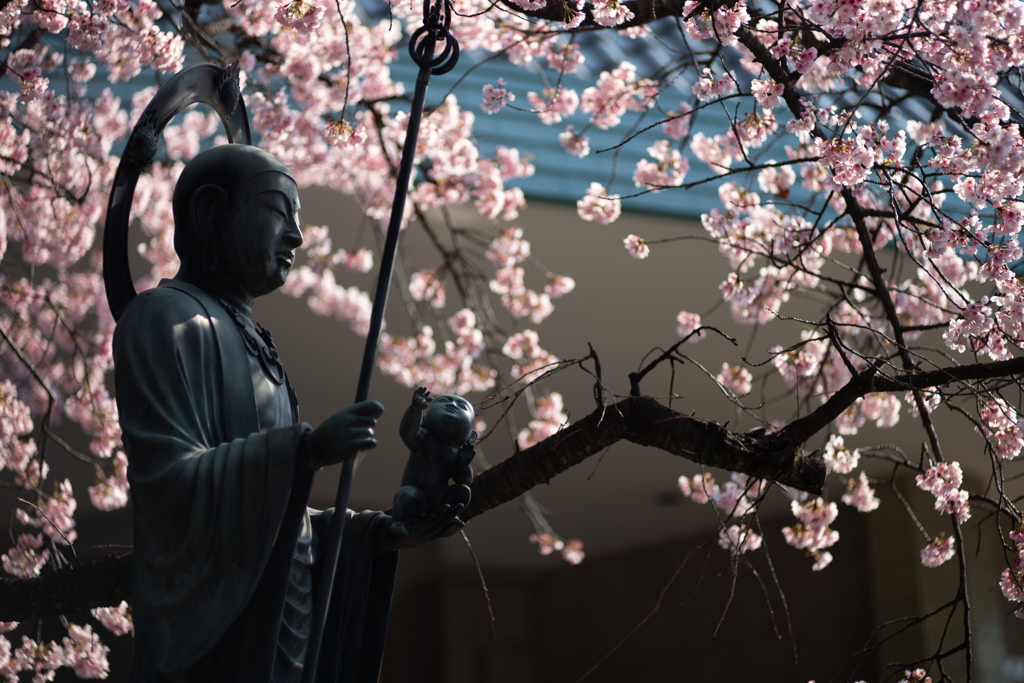 spring for tokyoites 2025