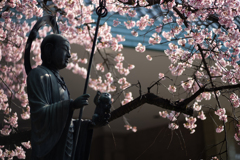 spring for tokyoites 2025