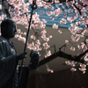 spring for tokyoites 2025