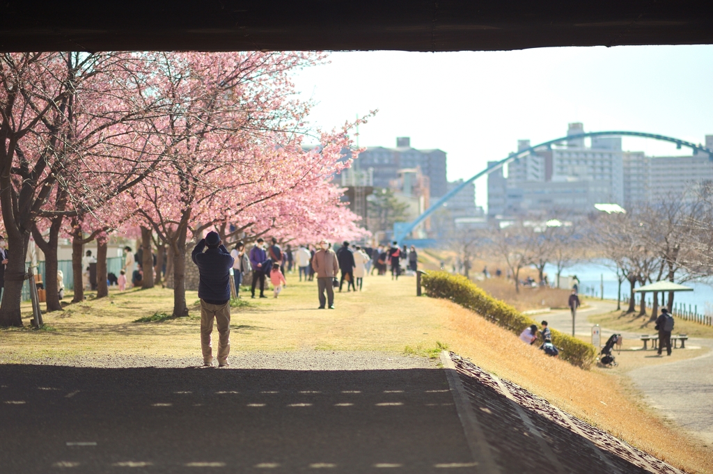 spring for tokyoites 2022