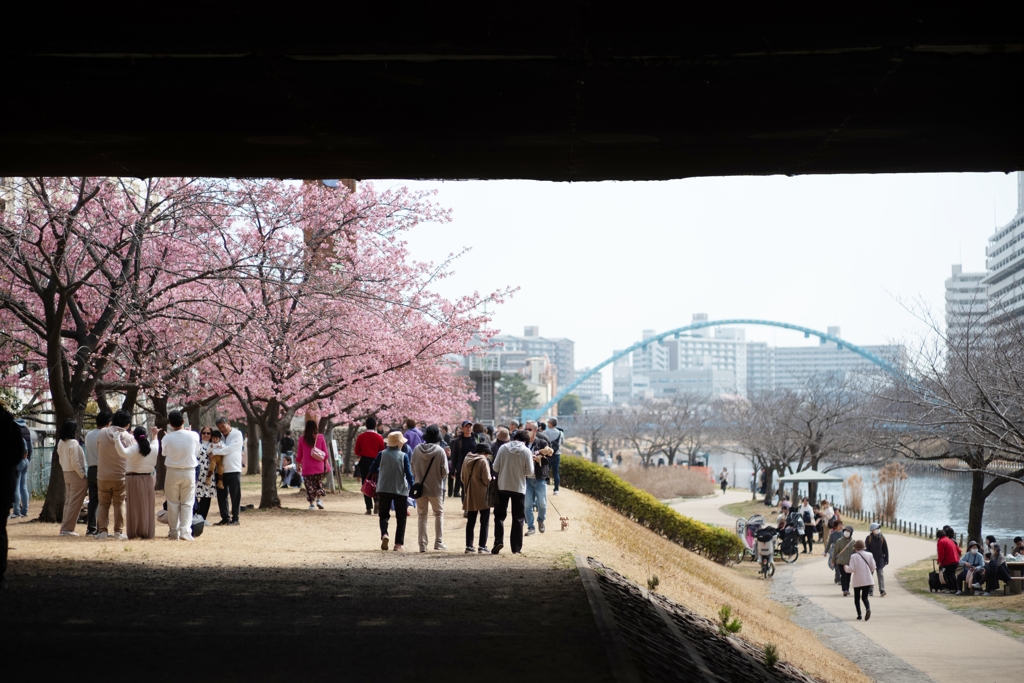spring for tokyoites 2025
