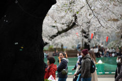 spring for tokyoites 2025