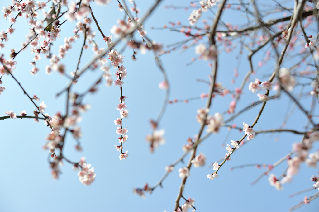 見上げた空に