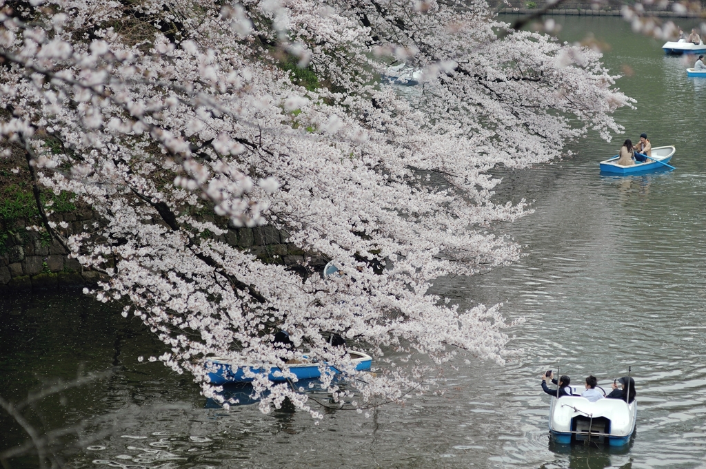 spring for tokyoites