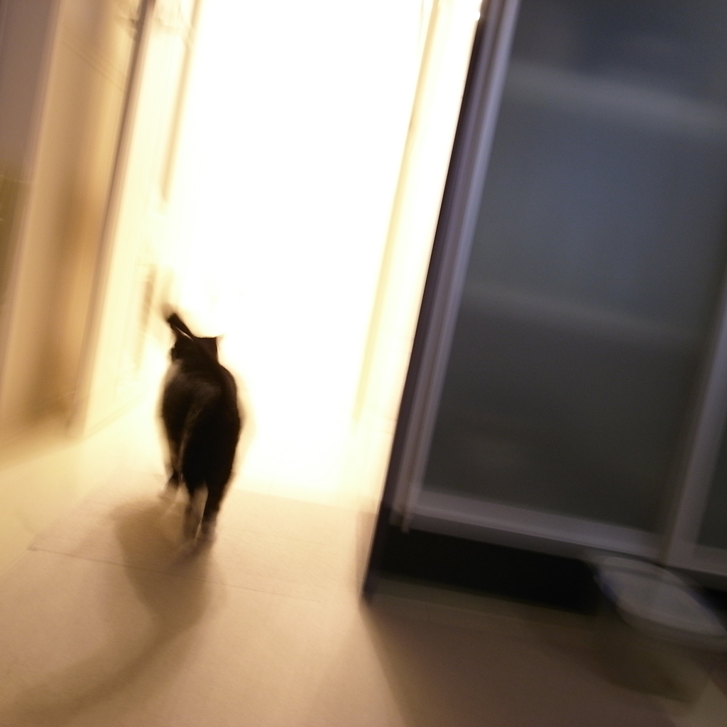 ちょっと奥まで