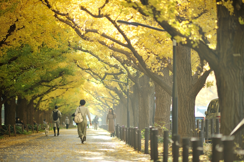 autumn for tokyoites 2020