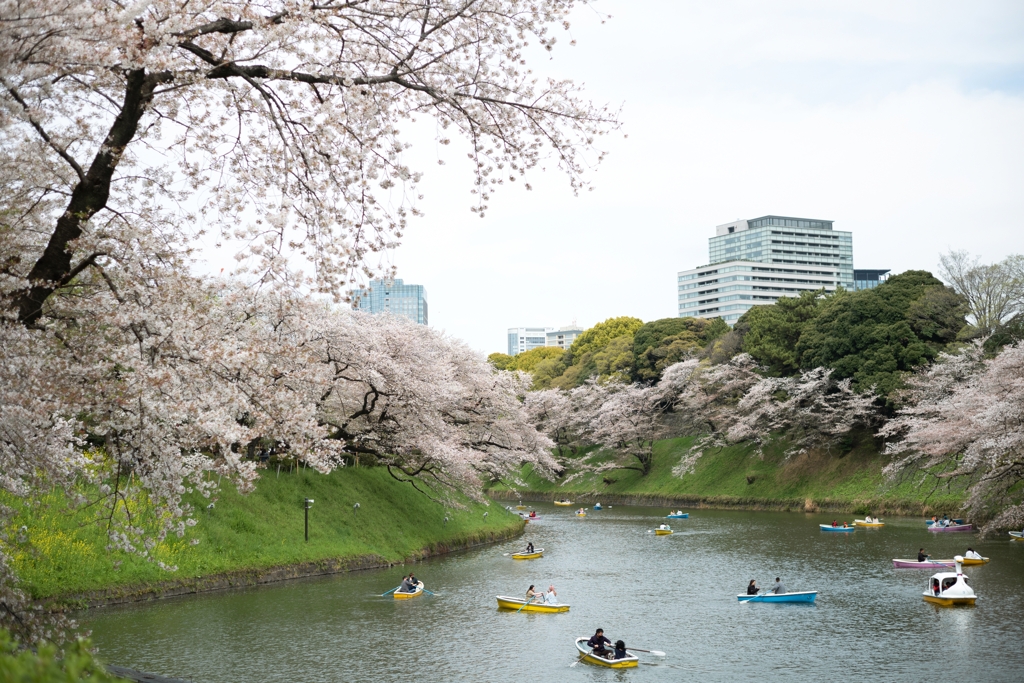 spring for tokyoites 2023