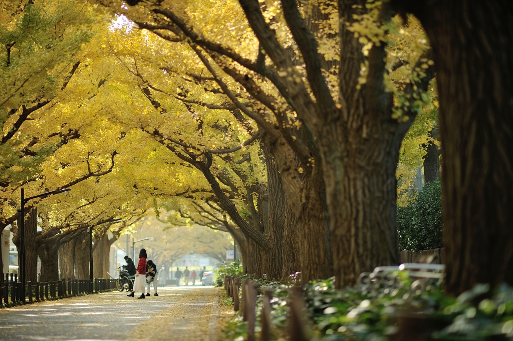 autumn for tokyoies 2020