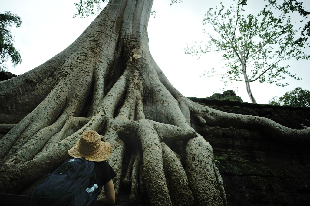 Ta Prohm