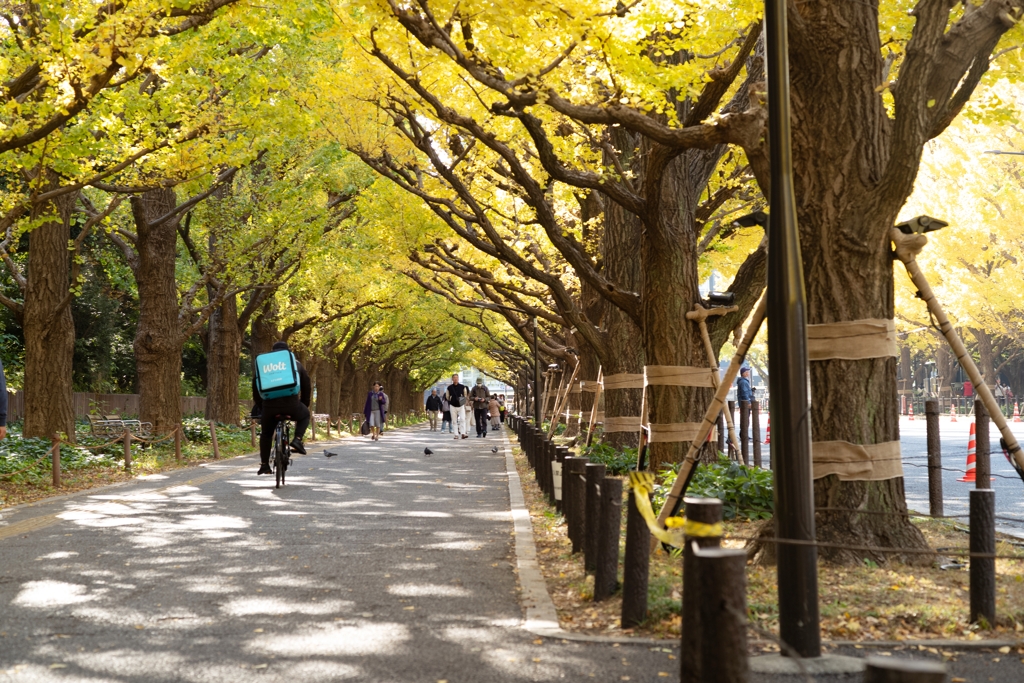 autumn for tokyoites 2023