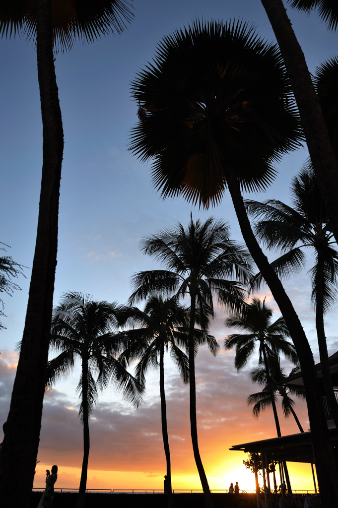 Halekulani sunset
