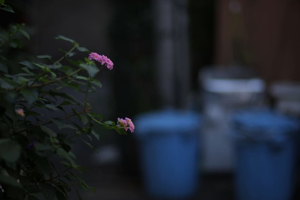 Nakano