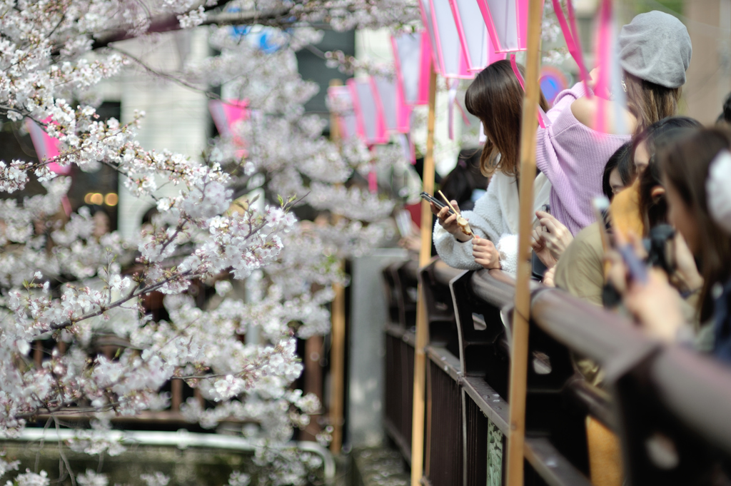 spring for tokyoites 2019