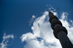 minaret and seagulls